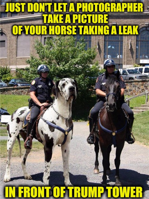 The rumor is that the repercussions were politically motivated | JUST DON'T LET A PHOTOGRAPHER TAKE A PICTURE OF YOUR HORSE TAKING A LEAK; IN FRONT OF TRUMP TOWER | image tagged in police horse,trump tower | made w/ Imgflip meme maker