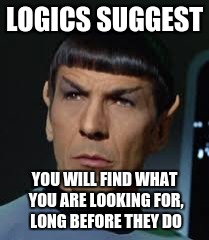 Spock | LOGICS SUGGEST YOU WILL FIND WHAT YOU ARE LOOKING FOR, LONG BEFORE THEY DO | image tagged in spock | made w/ Imgflip meme maker