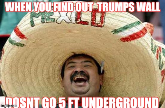 WHEN YOU FIND OUT  TRUMPS WALL; DOSNT GO 5 FT UNDERGROUND | image tagged in funny meme | made w/ Imgflip meme maker