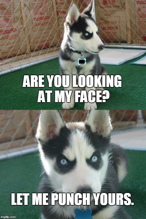 Insanity Puppy | ARE YOU LOOKING AT MY FACE? LET ME PUNCH YOURS. | image tagged in memes,insanity puppy | made w/ Imgflip meme maker