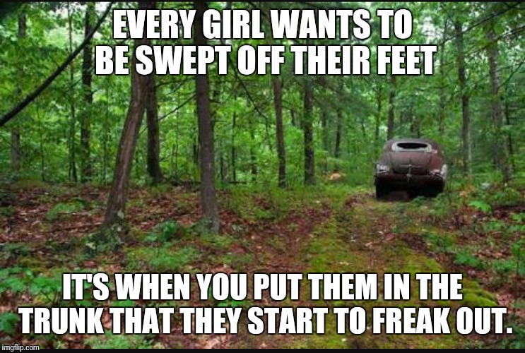 Sweep them off their feet | EVERY GIRL WANTS TO BE SWEPT OFF THEIR FEET; IT'S WHEN YOU PUT THEM IN THE TRUNK THAT THEY START TO FREAK OUT. | image tagged in memes,trunk | made w/ Imgflip meme maker