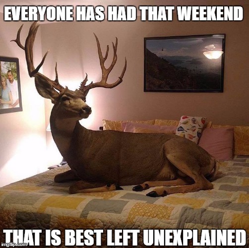That one weekend | EVERYONE HAS HAD THAT WEEKEND; THAT IS BEST LEFT UNEXPLAINED | image tagged in buck in the bedroom,memes,drunk weekend,redneck weekend | made w/ Imgflip meme maker