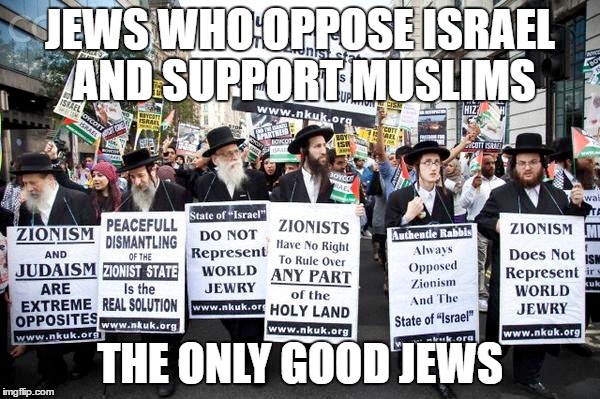 The Only Good Jews | JEWS WHO OPPOSE ISRAEL AND SUPPORT MUSLIMS; THE ONLY GOOD JEWS | image tagged in israel jews,defender,muslims,muslim,islam,good | made w/ Imgflip meme maker