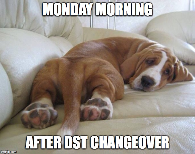 Daylight Saving Time Spring Forward | MONDAY MORNING; AFTER DST CHANGEOVER | image tagged in sigh | made w/ Imgflip meme maker