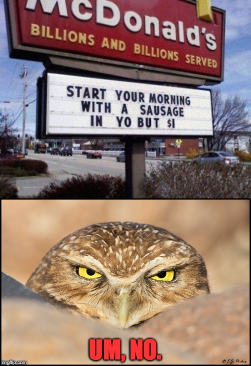 Morning at McyD's | UM, NO. | image tagged in no | made w/ Imgflip meme maker
