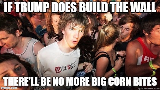 If you don't know, Big Korn Bites are a South African brand of crisps. | IF TRUMP DOES BUILD THE WALL; THERE'LL BE NO MORE BIG CORN BITES | image tagged in sudden realisation ralph,trump,wall,big korn bites | made w/ Imgflip meme maker