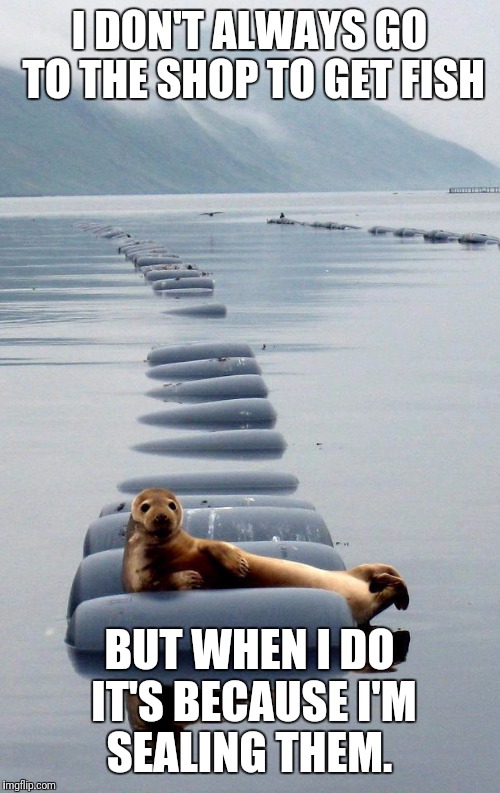 Most Interesting Seal in the World | I DON'T ALWAYS GO TO THE SHOP TO GET FISH; BUT WHEN I DO IT'S BECAUSE I'M SEALING THEM. | image tagged in most interesting seal in the world | made w/ Imgflip meme maker