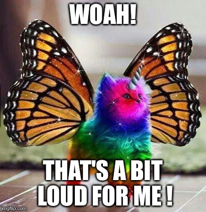 Rainbow unicorn butterfly kitten | WOAH! THAT'S A BIT LOUD FOR ME ! | image tagged in rainbow unicorn butterfly kitten | made w/ Imgflip meme maker