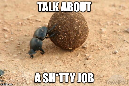 Hard Working Dung Beetle | TALK ABOUT; A SH*TTY JOB | image tagged in hard working dung beetle | made w/ Imgflip meme maker