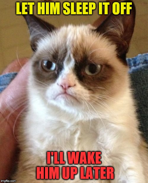 Grumpy Cat Meme | LET HIM SLEEP IT OFF I'LL WAKE HIM UP LATER | image tagged in memes,grumpy cat | made w/ Imgflip meme maker