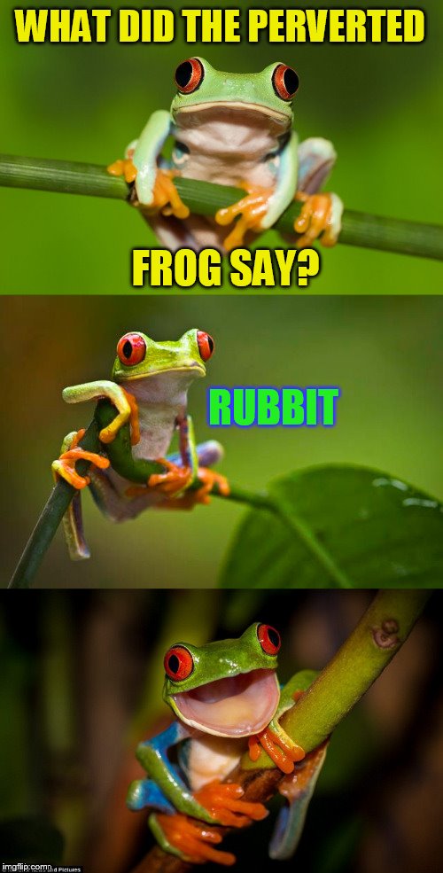 Frog Puns | WHAT DID THE PERVERTED; FROG SAY? RUBBIT | image tagged in frog puns,memes,jokes,frogs,laughs,funny memes | made w/ Imgflip meme maker