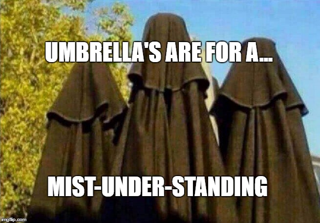 Patio Umbrellas  | UMBRELLA'S ARE FOR A... MIST-UNDER-STANDING | image tagged in patio umbrellas | made w/ Imgflip meme maker