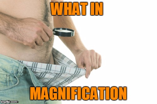 WHAT IN MAGNIFICATION | made w/ Imgflip meme maker