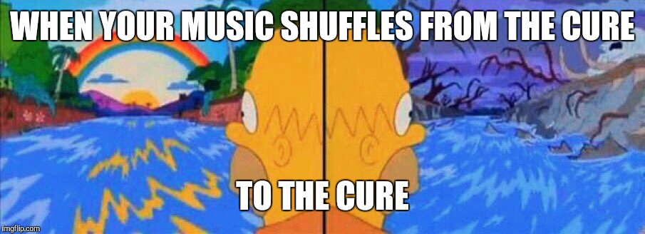 Givin Me Mixed Emotions | WHEN YOUR MUSIC SHUFFLES FROM THE CURE; TO THE CURE | image tagged in the simpsons,homer simpson,music,meme | made w/ Imgflip meme maker