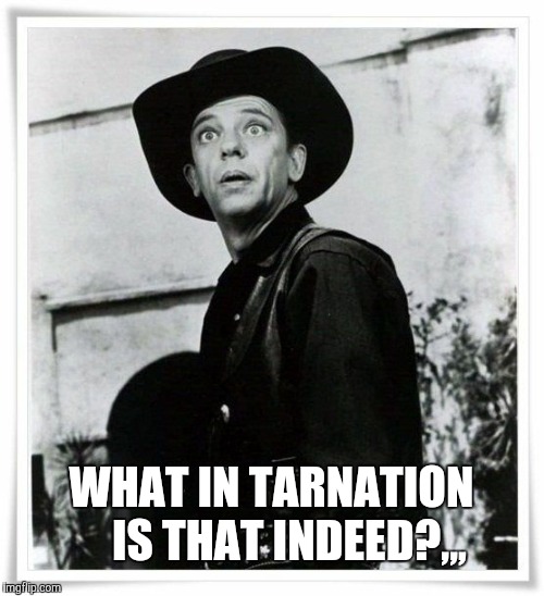 Don Knotts surprised,,, | WHAT IN TARNATION    IS THAT INDEED?,,, | image tagged in don knotts surprised   | made w/ Imgflip meme maker