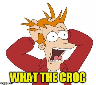 WHAT THE CROC | made w/ Imgflip meme maker