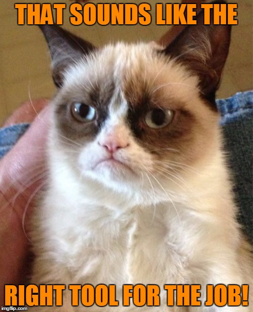 Grumpy Cat Meme | THAT SOUNDS LIKE THE RIGHT TOOL FOR THE JOB! | image tagged in memes,grumpy cat | made w/ Imgflip meme maker