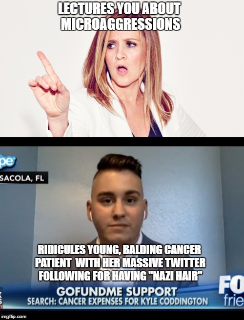 LECTURES YOU ABOUT MICROAGGRESSIONS; RIDICULES YOUNG, BALDING CANCER PATIENT  WITH HER MASSIVE TWITTER FOLLOWING FOR HAVING "NAZI HAIR" | image tagged in samantha bee,sjws,libtards,snowflakes | made w/ Imgflip meme maker