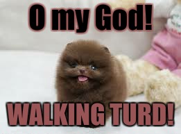 O my God! WALKING TURD! | image tagged in walking turd | made w/ Imgflip meme maker