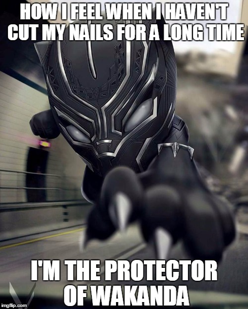 animated panther | HOW I FEEL WHEN I HAVEN'T CUT MY NAILS FOR A LONG TIME; I'M THE PROTECTOR OF WAKANDA | image tagged in animated panther | made w/ Imgflip meme maker