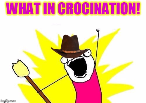 X All The Y Meme | WHAT IN CROCINATION! | image tagged in memes,x all the y | made w/ Imgflip meme maker