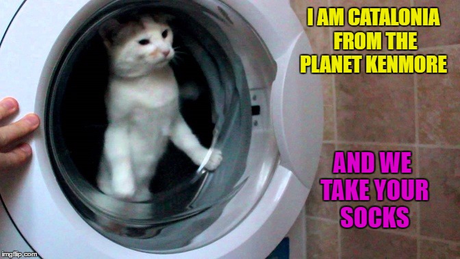 Planet Kenmore | I AM CATALONIA FROM THE PLANET KENMORE; AND WE TAKE YOUR SOCKS | image tagged in funny meme,cats,socks,wmp | made w/ Imgflip meme maker