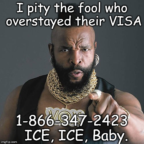 Mr T Pity The Fool Meme | I pity the fool who overstayed their VISA; 1-866-347-2423  ICE, ICE, Baby. | image tagged in memes,mr t pity the fool | made w/ Imgflip meme maker