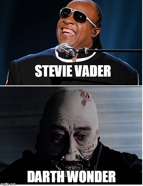 My favourite duo | STEVIE VADER; DARTH WONDER | image tagged in stevie wonder | made w/ Imgflip meme maker