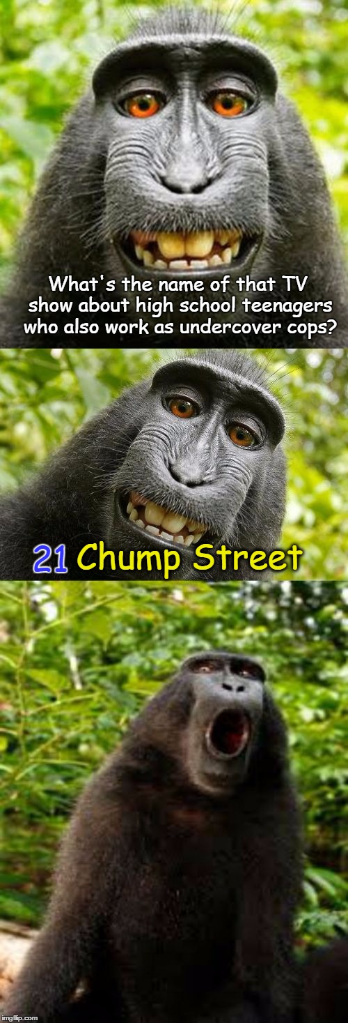 bad pun monkey | What's the name of that TV show about high school teenagers who also work as undercover cops? 21; Chump Street | image tagged in bad pun monkey | made w/ Imgflip meme maker