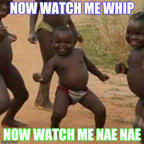 Third World Success Kid Meme | NOW WATCH ME WHIP; NOW WATCH ME NAE NAE | image tagged in memes,third world success kid | made w/ Imgflip meme maker