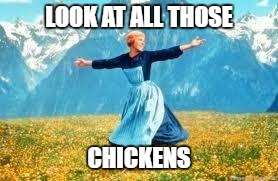 why did i do this? | LOOK AT ALL THOSE; CHICKENS | image tagged in memes,look at all these,look at all those chickens | made w/ Imgflip meme maker