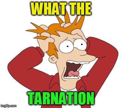 WHAT THE TARNATION | made w/ Imgflip meme maker