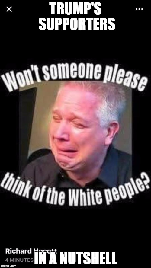 glenn beck - won't someone think of the white people | TRUMP'S SUPPORTERS; IN A NUTSHELL | image tagged in donald trump,white people,glenn beck,supporters | made w/ Imgflip meme maker