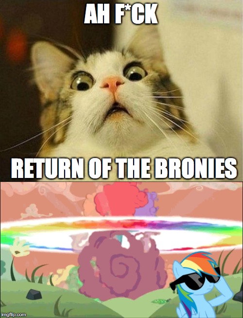 Return of the Bronies...?! | AH F*CK; RETURN OF THE BRONIES | image tagged in mlp,memes,funny,my little pony,brony,surprised cat | made w/ Imgflip meme maker