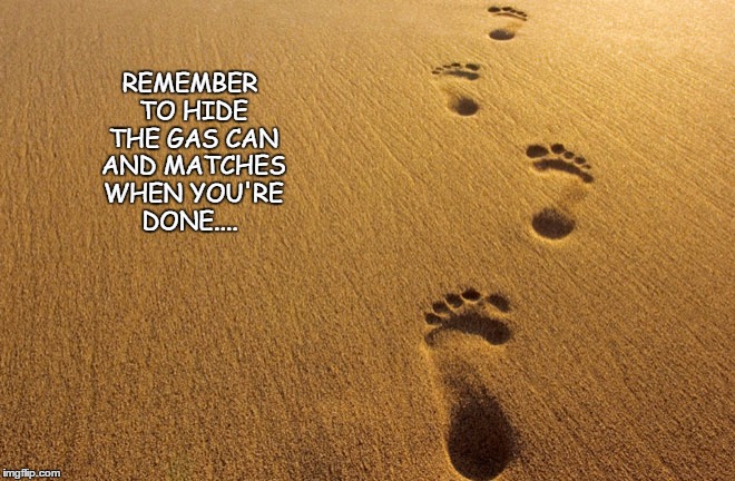 footsteps | REMEMBER TO HIDE THE GAS CAN AND MATCHES WHEN YOU'RE DONE.... | image tagged in steps | made w/ Imgflip meme maker