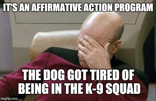 Captain Picard Facepalm Meme | IT'S AN AFFIRMATIVE ACTION PROGRAM THE DOG GOT TIRED OF BEING IN THE K-9 SQUAD | image tagged in memes,captain picard facepalm | made w/ Imgflip meme maker