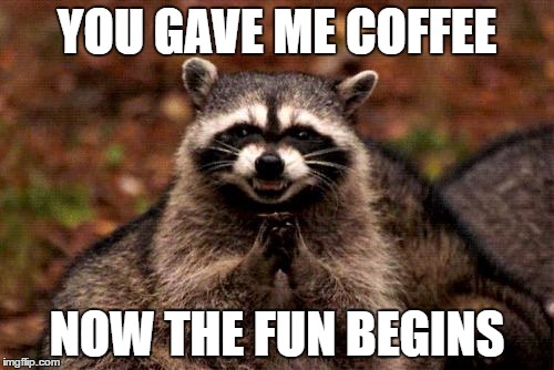 Evil Plotting Raccoon | YOU GAVE ME COFFEE; NOW THE FUN BEGINS | image tagged in memes,evil plotting raccoon | made w/ Imgflip meme maker