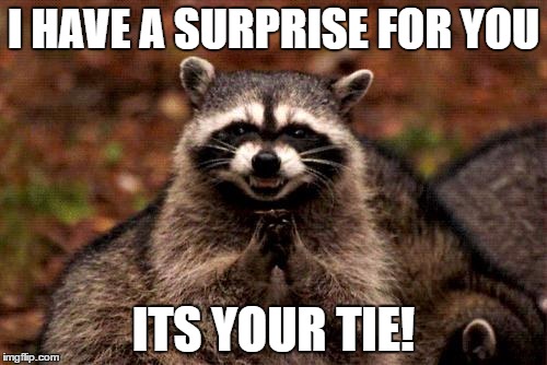 Evil Plotting Raccoon Meme | I HAVE A SURPRISE FOR YOU; ITS YOUR TIE! | image tagged in memes,evil plotting raccoon | made w/ Imgflip meme maker