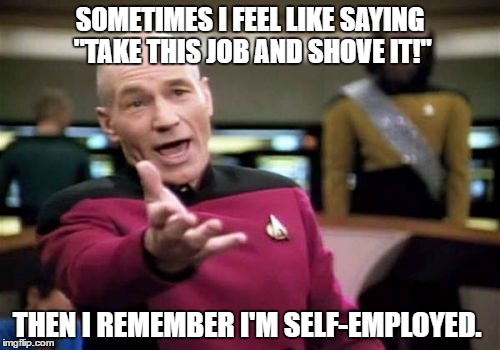 Picard Wtf | SOMETIMES I FEEL LIKE SAYING "TAKE THIS JOB AND SHOVE IT!"; THEN I REMEMBER I'M SELF-EMPLOYED. | image tagged in memes,picard wtf | made w/ Imgflip meme maker