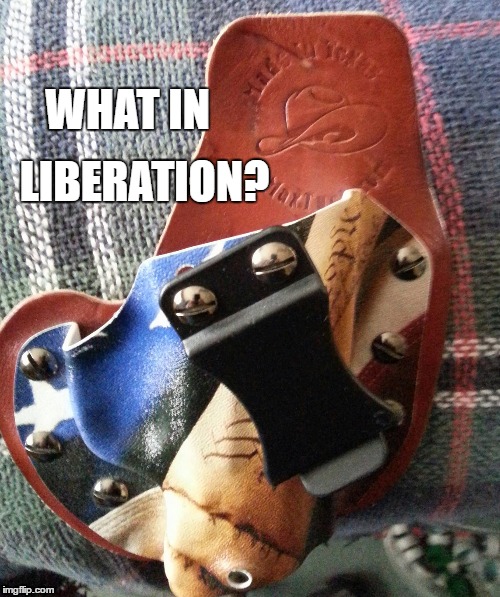 WHAT IN; LIBERATION? | image tagged in what in tarnation | made w/ Imgflip meme maker