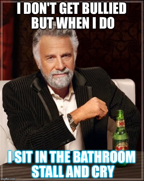 The Most Interesting Man In The World Meme | I DON'T GET BULLIED BUT WHEN I DO; I SIT IN THE BATHROOM STALL AND CRY | image tagged in memes,the most interesting man in the world | made w/ Imgflip meme maker