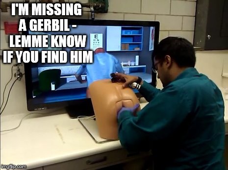 I'M MISSING A GERBIL - LEMME KNOW IF YOU FIND HIM | made w/ Imgflip meme maker