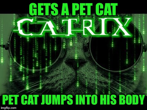 GETS A PET CAT PET CAT JUMPS INTO HIS BODY | made w/ Imgflip meme maker