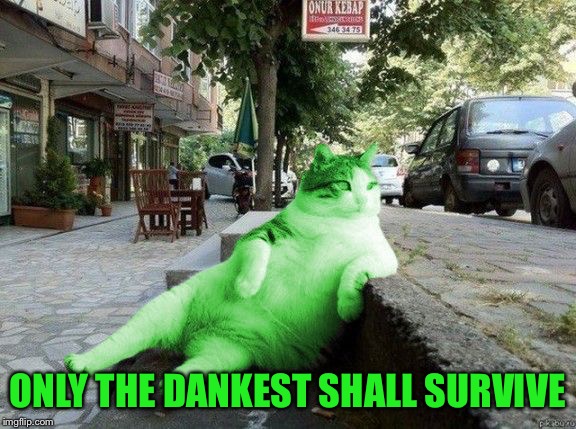 RayCat relaxing | ONLY THE DANKEST SHALL SURVIVE | image tagged in raycat relaxing | made w/ Imgflip meme maker