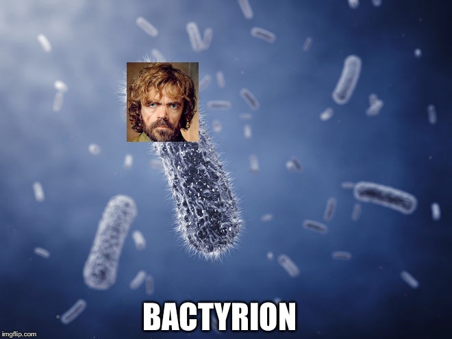 BacTyrion | BACTYRION | image tagged in tyrion lannister,bacteria,tyrion | made w/ Imgflip meme maker