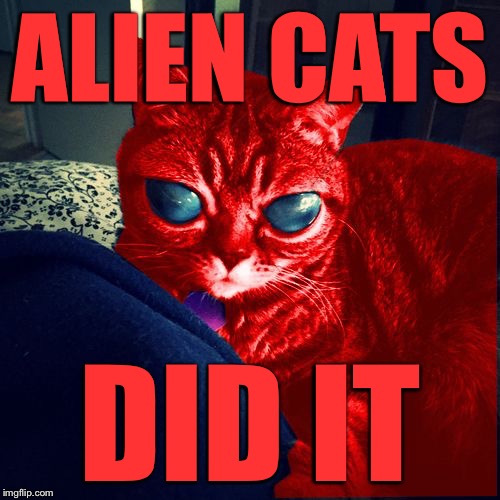 RayCat Aliens | ALIEN CATS DID IT | image tagged in raycat aliens | made w/ Imgflip meme maker