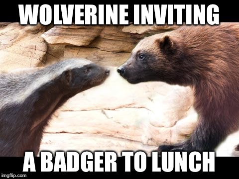 WOLVERINE INVITING; A BADGER TO LUNCH | image tagged in wolv badg | made w/ Imgflip meme maker