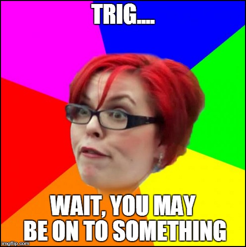 TRIG.... WAIT, YOU MAY BE ON TO SOMETHING | made w/ Imgflip meme maker