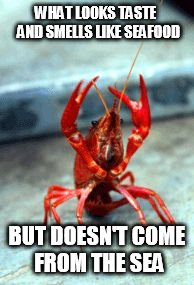 Birthday crawfish | WHAT LOOKS TASTE  AND SMELLS LIKE SEAFOOD; BUT DOESN'T COME FROM THE SEA | image tagged in birthday crawfish | made w/ Imgflip meme maker