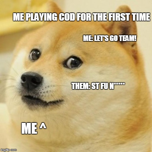 Doge | ME PLAYING COD FOR THE FIRST TIME; ME: LET'S GO TEAM! THEM: ST FU N*****; ME ^ | image tagged in memes,doge | made w/ Imgflip meme maker